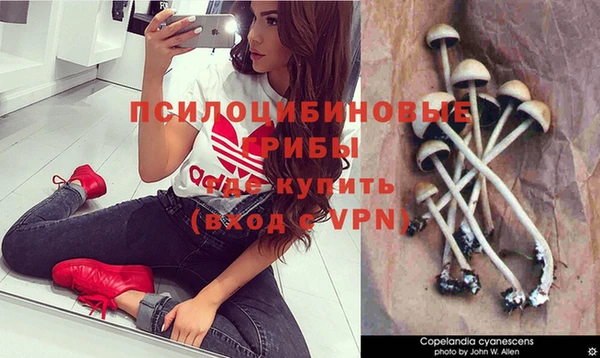 ПСИЛОЦИБИНОВЫЕ ГРИБЫ Елабуга