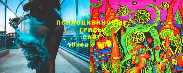 гидропоника Ельня