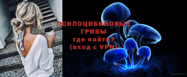 гидропоника Ельня